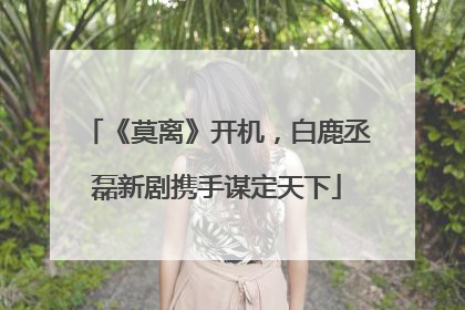 《莫离》开机，白鹿丞磊新剧携手谋定天下