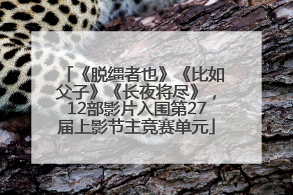 《脱缰者也》《比如父子》《长夜将尽》，12部影片入围第27届上影节主竞赛单元