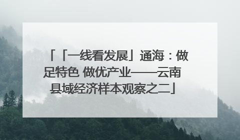 「一线看发展」通海：做足特色 做优产业——云南县域经济样本观察之二