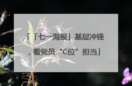 「七一海报」基层冲锋，看党员“C位”担当
