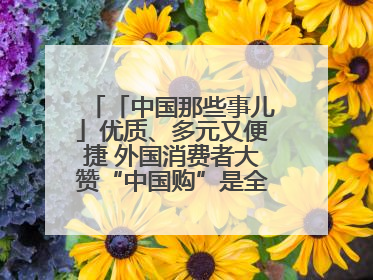 「中国那些事儿」优质、多元又便捷 外国消费者大赞“中国购”是全新体验！