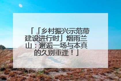 「乡村振兴示范带建设进行时」烟雨兰山：邂逅一场与本真的久别重逢！