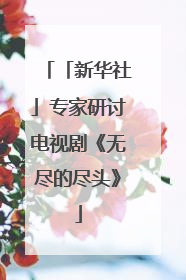 「新华社」专家研讨电视剧《无尽的尽头》
