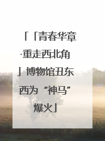 「青春华章·重走西北角」博物馆丑东西为“神马”爆火