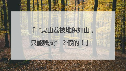 “灵山荔枝堆积如山，只能贱卖”？假的！