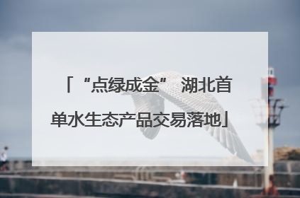 “点绿成金” 湖北首单水生态产品交易落地