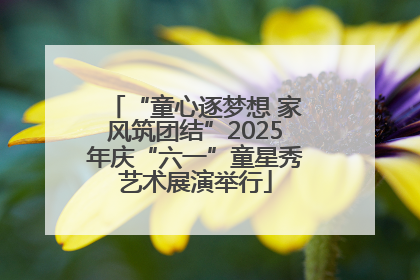 “童心逐梦想 家风筑团结”2025年庆“六一”童星秀艺术展演举行