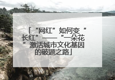 “网红”如何变“长红”——“一朵花”激活城市文化基因的破题之路