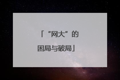 “网大”的困局与破局