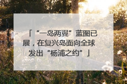“一岛两翼”蓝图已展，在复兴岛面向全球发出“杨浦之约”