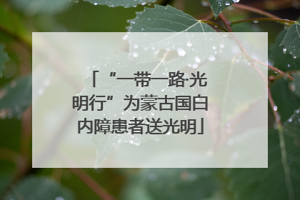 “一带一路·光明行”为蒙古国白内障患者送光明