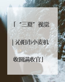 “三夏”视觉｜沁阳市小麦机收圆满收官