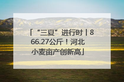“三夏”进行时丨866.27公斤！河北小麦亩产创新高