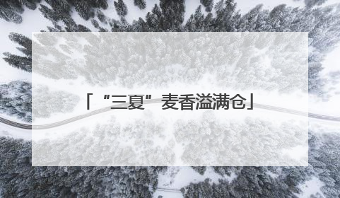 “三夏”麦香溢满仓