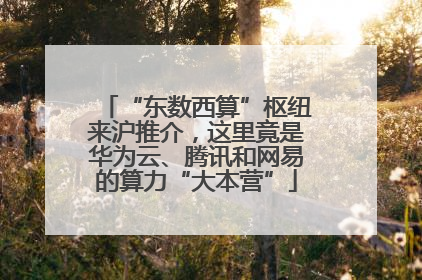 “东数西算”枢纽来沪推介，这里竟是华为云、腾讯和网易的算力“大本营”