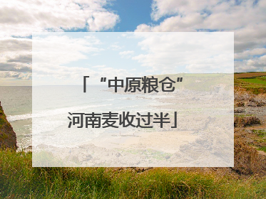 “中原粮仓”河南麦收过半