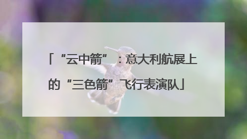 “云中箭”：意大利航展上的“三色箭”飞行表演队