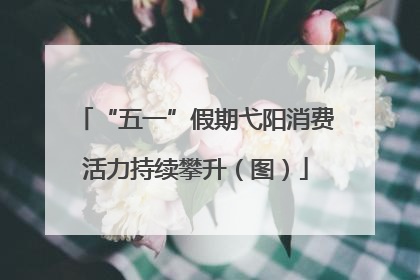 “五一”假期弋阳消费活力持续攀升（图）