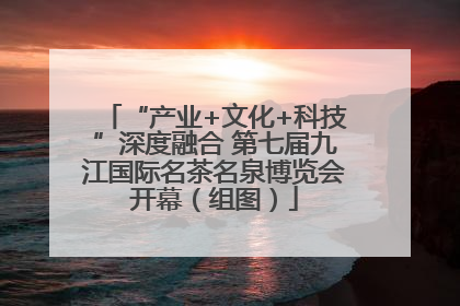 “产业+文化+科技”深度融合 第七届九江国际名茶名泉博览会开幕（组图）