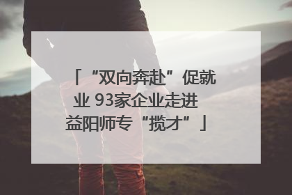 “双向奔赴”促就业 93家企业走进益阳师专“揽才”