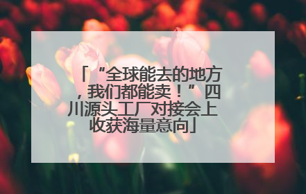 “全球能去的地方，我们都能卖！”四川源头工厂对接会上收获海量意向