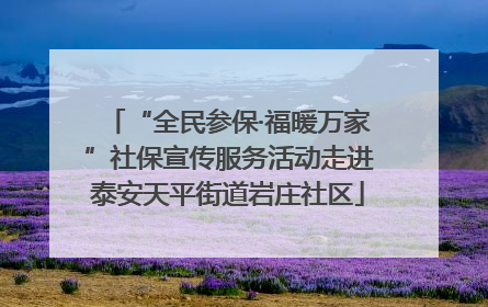 “全民参保·福暖万家”社保宣传服务活动走进泰安天平街道岩庄社区