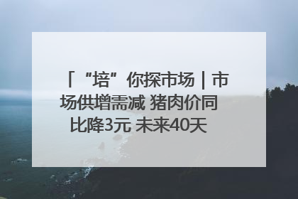 “培”你探市场｜市场供增需减 猪肉价同比降3元 未来40天便宜猪肉敞开吃