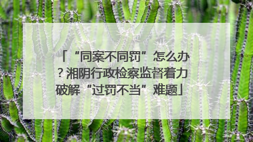 “同案不同罚”怎么办？湘阴行政检察监督着力破解“过罚不当”难题