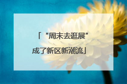 “周末去逛展”成了新区新潮流