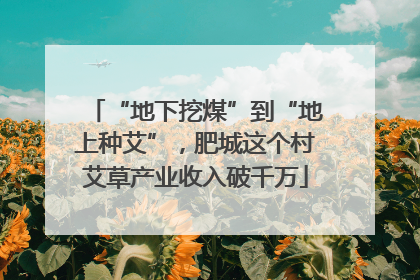 “地下挖煤”到“地上种艾”，肥城这个村艾草产业收入破千万