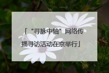 “寻脉中轴”网络传播寻访活动在京举行