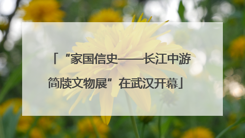 “家国信史——长江中游简牍文物展”在武汉开幕