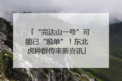 “完达山一号”可能已“脱单”！东北虎种群传来新喜讯