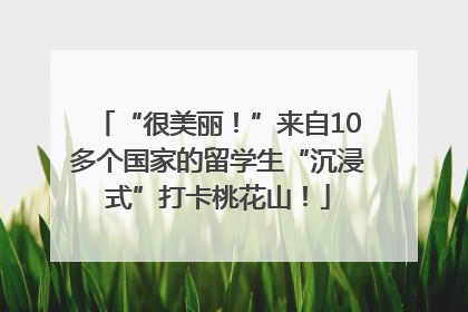 “很美丽！”来自10多个国家的留学生“沉浸式”打卡桃花山！