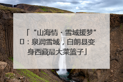 “山海情・雪域援梦”⑪：泉润雪域，白朗县变身西藏最大菜篮子
