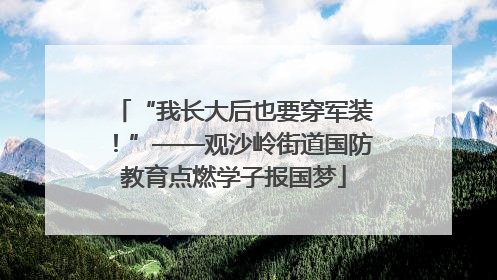 “我长大后也要穿军装！”——观沙岭街道国防教育点燃学子报国梦