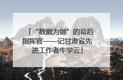 “数据为剑”的幕后指挥官——记甘肃省先进工作者牛学云