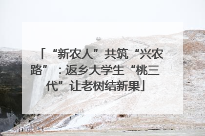 “新农人”共筑“兴农路”：返乡大学生“桃三代”让老树结新果