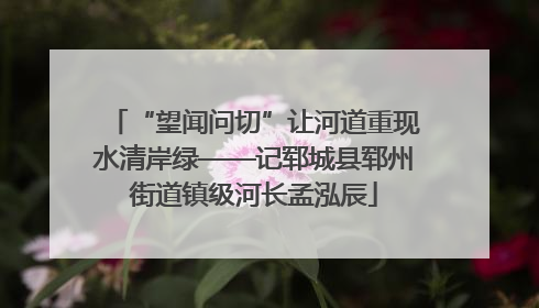 “望闻问切”让河道重现水清岸绿——记郓城县郓州街道镇级河长孟泓辰