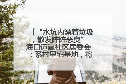 “水坑内漂着垃圾，散发阵阵恶臭” 海口迈瀛社区居委会：系村里宅基地，将派人打捞垃圾