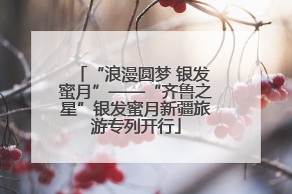 “浪漫圆梦 银发蜜月”——“齐鲁之星”银发蜜月新疆旅游专列开行