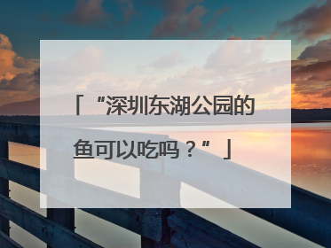 “深圳东湖公园的鱼可以吃吗？”