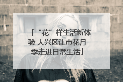 “花”样生活新体验 大兴区让市花月季走进日常生活