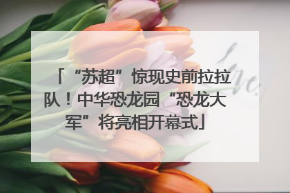 “苏超”惊现史前拉拉队！中华恐龙园“恐龙大军”将亮相开幕式
