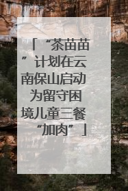 “茶苗苗”计划在云南保山启动 为留守困境儿童三餐“加肉”