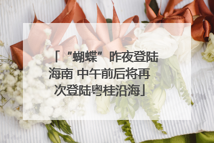 “蝴蝶”昨夜登陆海南 中午前后将再次登陆粤桂沿海