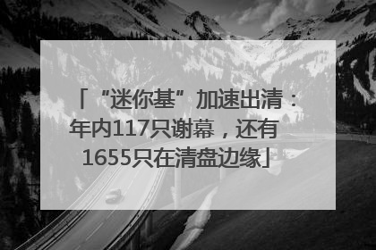 “迷你基”加速出清：年内117只谢幕，还有1655只在清盘边缘