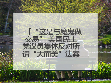 “这是与魔鬼做交易” 美国民主党议员集体反对所谓“大而美”法案！四名共和党众议员投反对票