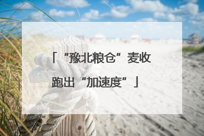 “豫北粮仓”麦收跑出“加速度”