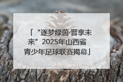 “逐梦绿茵·晋享未来”2025年山西省青少年足球联赛揭幕